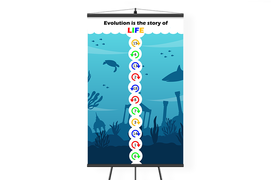 Evolution@0.5x Evolution@0.5x